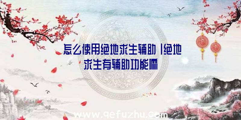 「怎么使用绝地求生辅助」|绝地求生有辅助功能嘛